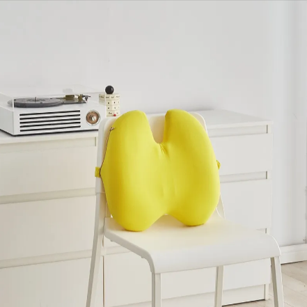 Everyday Lumbar Support Cushion
