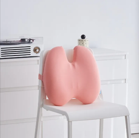Everyday Lumbar Support Cushion